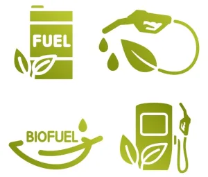 Bigstock Set Of Biofuel Icons Refuel S 455447795 Jpg
